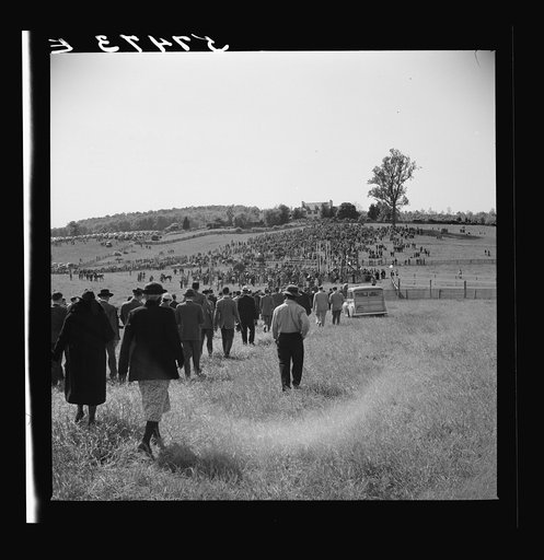Untitled photo, possibly related to: Spectators at horse races. Warrenton, Virginia