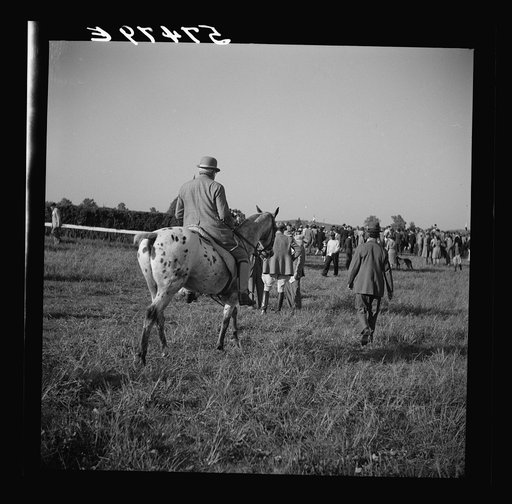 Untitled photo, possibly related to: Judge at the horse races. Warrenton, Virginia