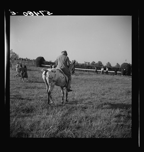 Untitled photo, possibly related to: Judge at the horse races. Warrenton, Virginia
