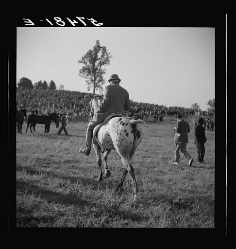Untitled photo, possibly related to: Judge at the horse races. Warrenton, Virginia