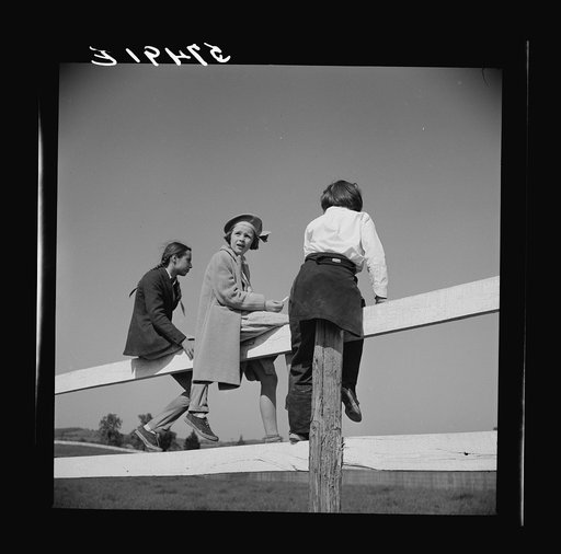 Spectators at horse races. Warrenton, Virginia