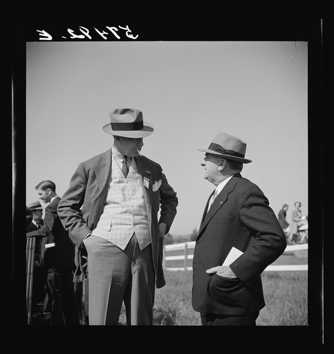 Untitled photo, possibly related to: Judges at the horse races. Warrenton, Virginia