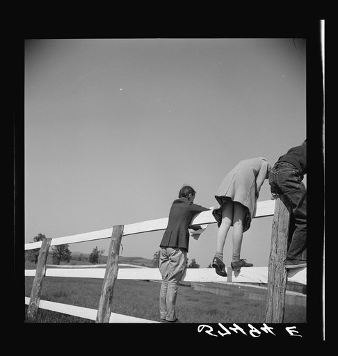 Untitled photo, possibly related to: Spectators at horse races. Warrenton, Virginia