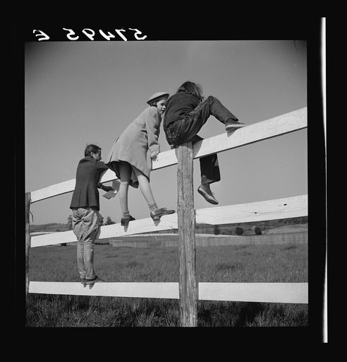 Spectators at horse races. Warrenton. Virginia