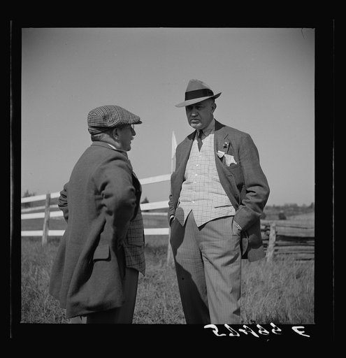 Judges at the horse races. Warrenton, Virginia