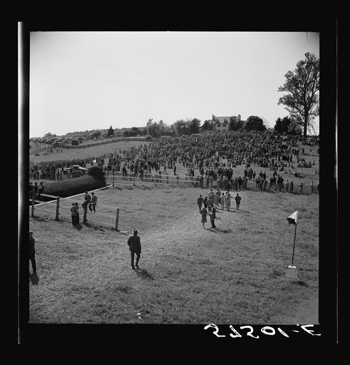Spectators at horse races. Warrenton, Virginia