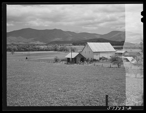 Fertile farmland in the Shenandoah Valley, Virginia