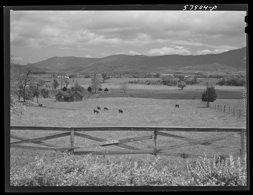 Fertile farmland in the Shenandoah Valley, Virginia