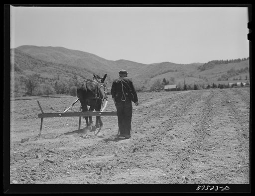 Woodworking in the arts and crafts shop on FSA (Farm Security Administration) project. Ida Valley Farms, Shenandoah Homesteads, Luray, Virginia