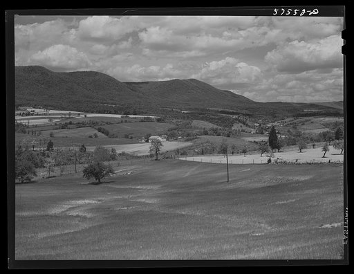 Untitled photo, possibly related to: Fertile farmland in the Shenandoah Valley from the top of Skyline Drive, Virginia