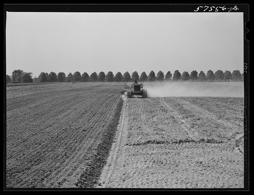 Harrowing field before planting. Starkey Farms, Morrisville, Pennsylvania