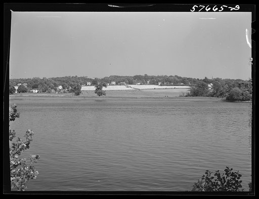 Shade tobacco covered by "fields" of cheesecloth to protect it from the sun and some insects. Near Hartford, Connecticut