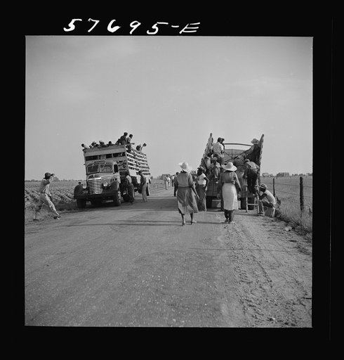 Day laborers to pick string beans are brought by truck from nearby towns.  Some even come in their own cars from Philadelphia to work at Seabrook Farms. Bridgeton, New Jersey