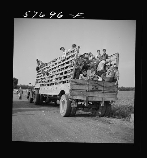 Day laborers to pick string beans are brought by truck from nearby towns.  Some even come in their own cars from Philadelphia to work at Seabrook Farms. Bridgeton, New Jersey