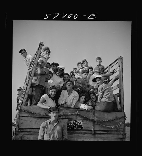 Day laborers to pick string beans are brought by truck from nearby towns.  Some even come in their own cars from Philadelphia to work at Seabrook Farms. Bridgeton, New Jersey