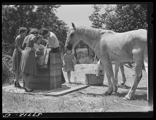 Home supervisor while making home visit to FSA (Farm Security Administration) borrower inspects water supply for repair. Charles County near La Plata, Maryland