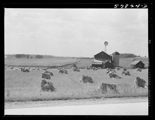 Stacks of wheat in front of barn with silo and windmill  and cornfield in left background. Near Madison, Wisconsin