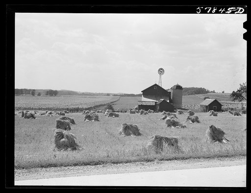 Untitled photo, possibly related to: Stacks of wheat in front of barn with silo and windmill and cornfield in left background. Near Madison, Wisconsin