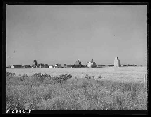 Field of wheat with town and grain elevators in distant horizon. Red River Valley, North Dakota