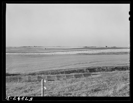 Snow fence, wheat field and ranch buildings near Minot, North Dakota
