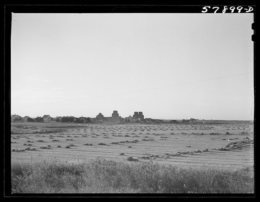 Grain storage elevators in town in northwestern North Dakota