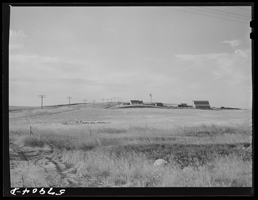 Untitled photo, possibly related to: Wheat field and ranch buildings near Williston, North Dakota