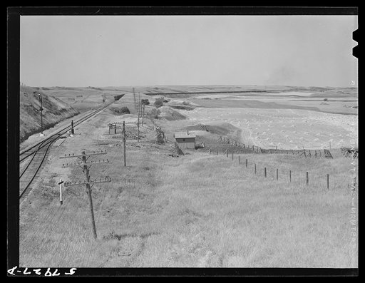 Untitled photo, possibly related to: Freight train going west from Minot, North Dakota, across the plains