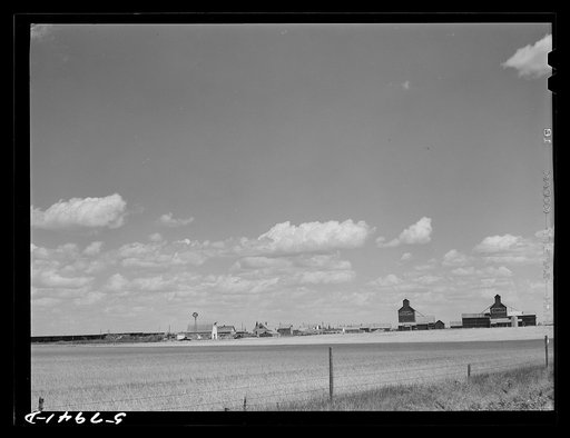 Wheat field, grain elevator. Froid, Montana