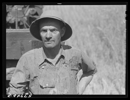 Scandinavian worker on the Schnitzler Corporation ranch. He was harvesting wheat with a combine. Froid, Montana