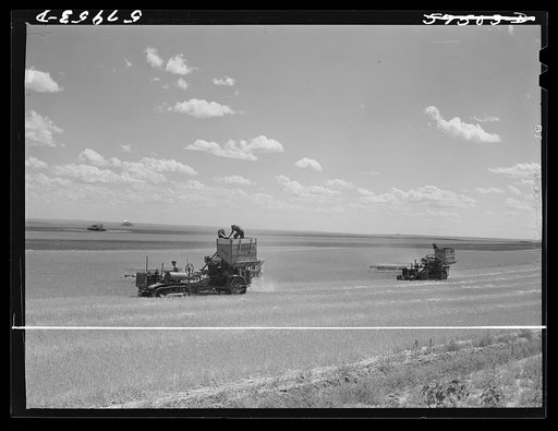 Untitled photo, possibly related to: Harvesting wheat with combines on Schnitzler Corporation ranch, Froid, Montana. There are about 2800 acres on this part of the ranch and they are getting over forty bushels to the acre. It is one of the largest wheat ranches in the West