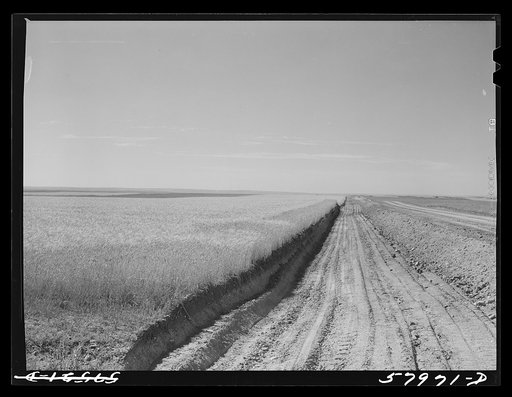 Road by wheat field through Schnitzler Corporation ranch. Froid, Montana