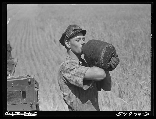 Scandinavian tractor combine driver drinking water out of a jug in the field where they were harvesting wheat on the Schnitzler Corporation ranch. Froid, Montana. This boy came to the Schnitzler ranch from South Dakota where he lives and first harvested their earlier wheat crop before coming up here