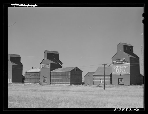 Grain elevators. Homestead, Montana