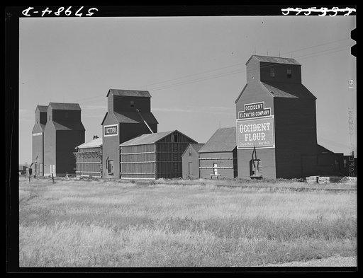 Building additional storage space for bumper wheat crop. Grain elevators in Homestead, Montana