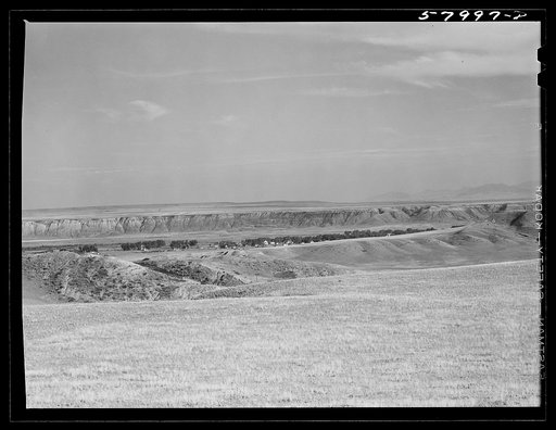 Untitled photo, possibly related to: Grazing land near Havre, Montana