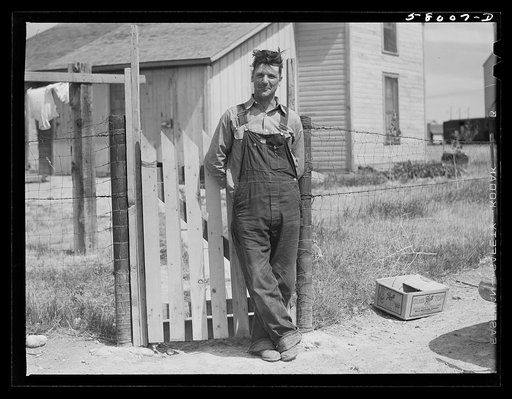 FSA (Farm Security Administration) borrower in Laredo, Montana