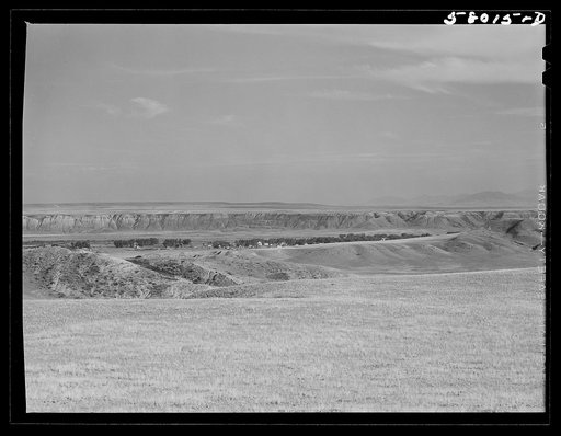Grazing land near Havre, Montana