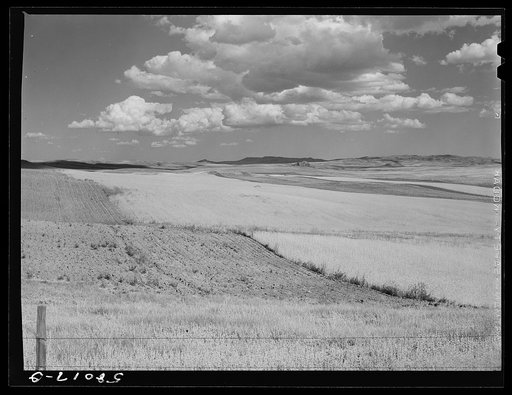 Untitled photo, possibly related to: Montana wheat fields