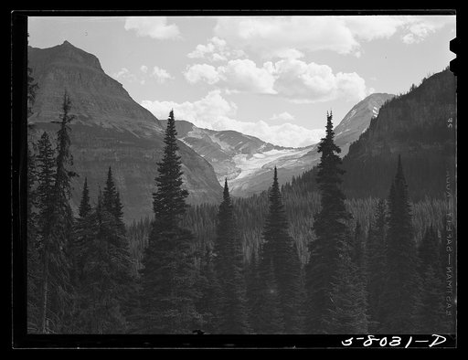 Untitled photo, possibly related to: Glacier seen from Logan Pass. Going-to-the-Sun highway, Glacier Park, Montana