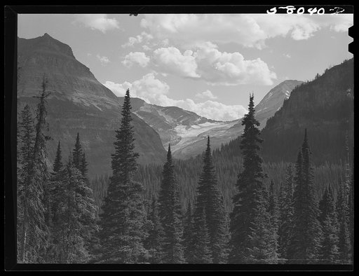 Glacier seen from Logan Pass. Going-to-the-Sun highway, Glacier Park, Montana