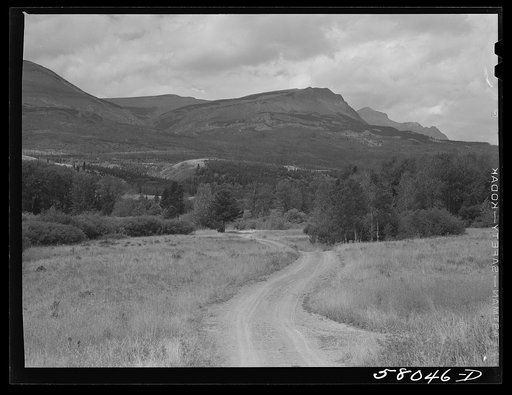 Road leading into mountains. Glacier National Park, Montana