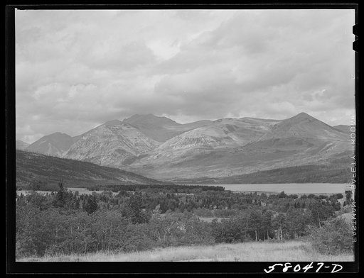 Lake in Glacier National Park, Montana