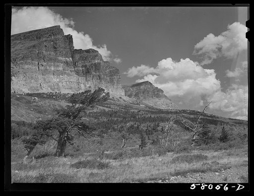 Untitled photo, possibly related to: Trees and multi-colored rock ledges seen from Many Glacier highway. Glacier National Park, Montana