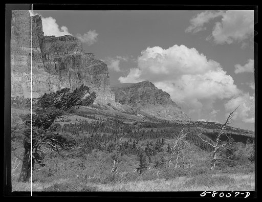 Trees and multi-colored rock ledges seen from Many Glacier highway. Glacier National Park, Montana