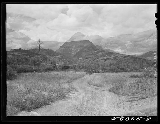 Untitled photo, possibly related to: Burnt-over land. Results of forest fires in Glacier National Park, Montana