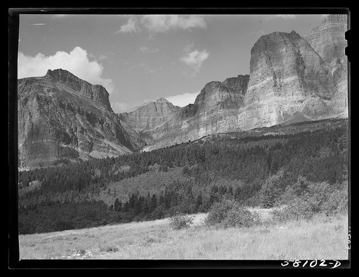 Trees and multi-colored rock ledges seen from Many Glacier highway. Glacier National Park, Montana