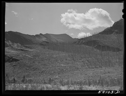 Burnt-over land, results of forest fires in Glacier National Park, Montana