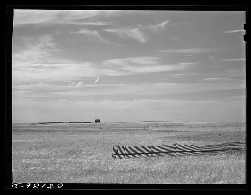 Prairie and pasture land with snow fence and ranch house near Havre Montana
