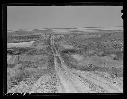 Road, wheat and cornfields near Havre, Montana