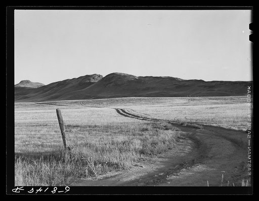 Tracks across prairie to pasture and grazing land near Havre, Montana